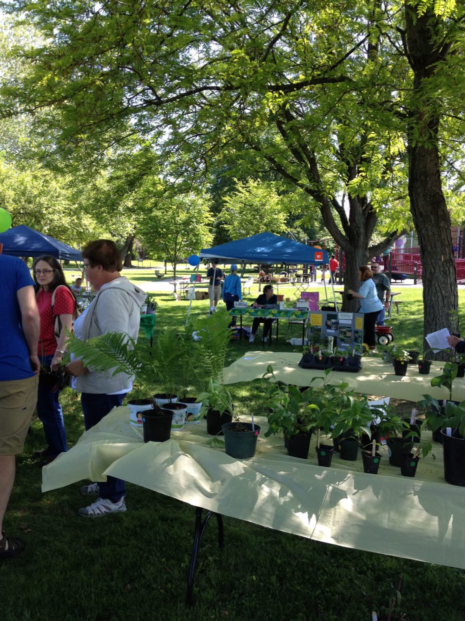 Wild Ones Native Plant Sale